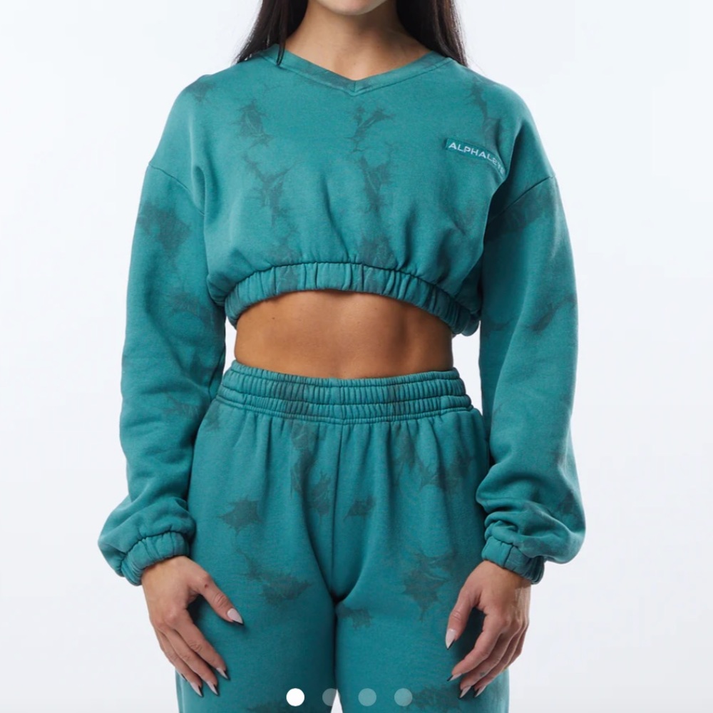 Alphalete HCTS crop sweater in submarine- worn once